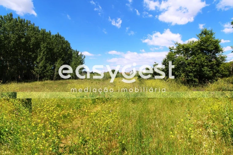 Terreno para Venda em Tamengos, Aguim e Óis do Bairro Foto 5