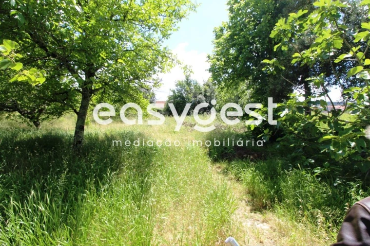 Terreno para Venda em Tamengos, Aguim e Óis do Bairro Foto 7