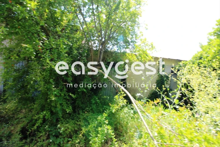 Terreno para Venda em Tamengos, Aguim e Óis do Bairro Foto 17