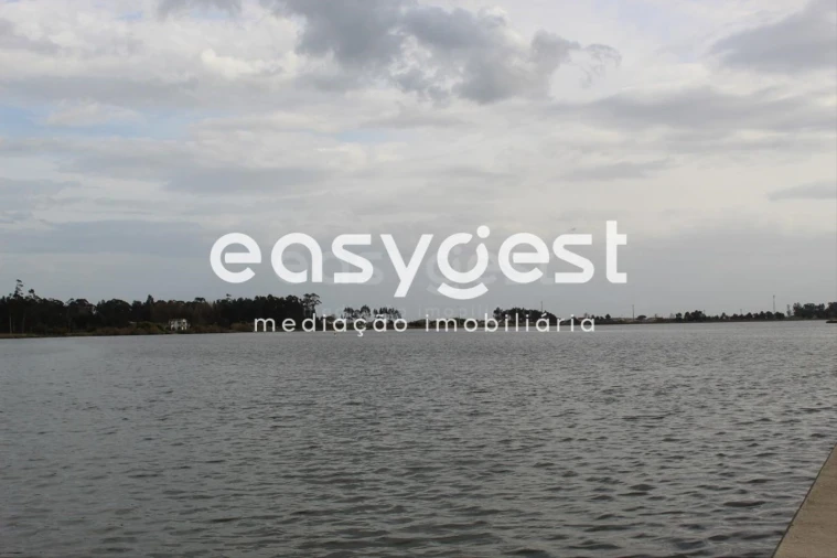 Terreno para Venda em Ovar, São João, Arada e São Vicente de Pereira Jusã Foto 9