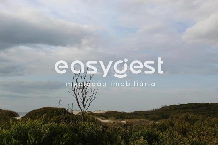 Terreno para Venda em Ovar, São João, Arada e São Vicente de Pereira Jusã Foto 17