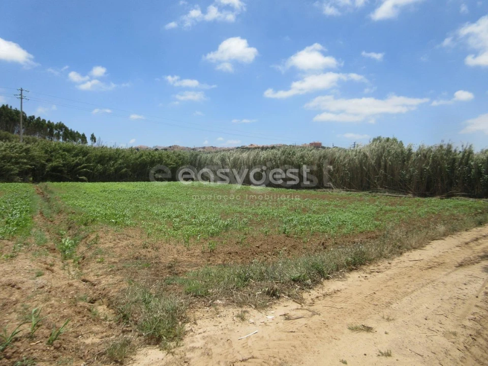 Terreno Agricola ou Rústico para Venda em Lourinhã e Atalaia Foto 1