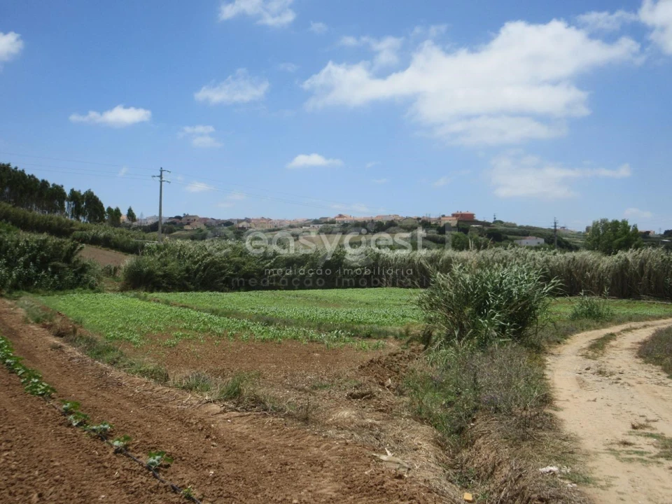 Terreno Agricola ou Rústico para Venda em Lourinhã e Atalaia Foto 8