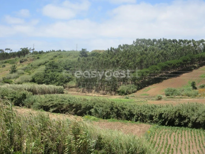 Terreno Agricola ou Rústico para Venda em Lourinhã e Atalaia Foto 3