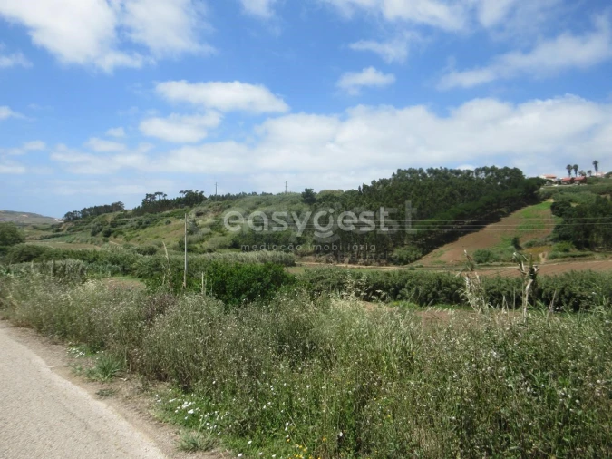 Terreno Agricola ou Rústico para Venda em Lourinhã e Atalaia Foto 4