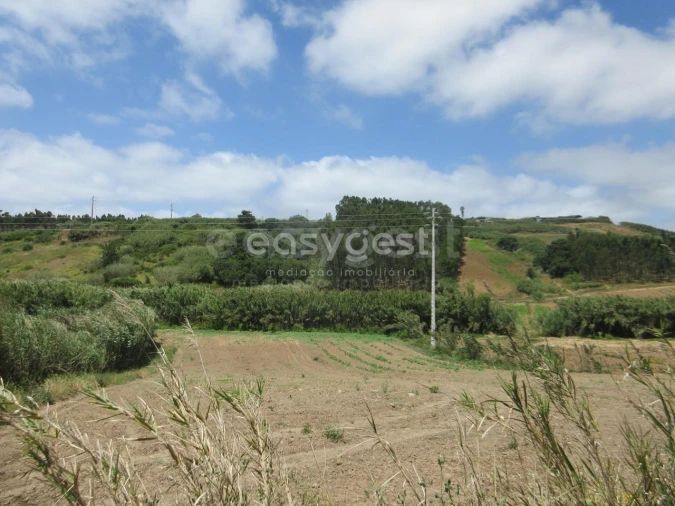 Terreno Agricola ou Rústico para Venda em Lourinhã e Atalaia Foto 5