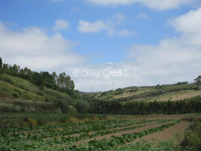 Terreno Agricola ou Rústico para Venda em Lourinhã e Atalaia Foto 6