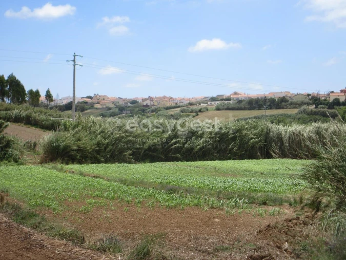 Terreno Agricola ou Rústico para Venda em Lourinhã e Atalaia Foto 9