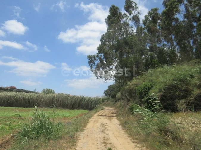 Terreno Agricola ou Rústico para Venda em Lourinhã e Atalaia Foto 12