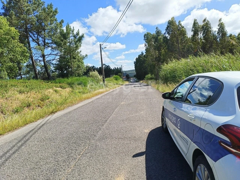 Terreno Agricola ou Rústico para Venda em Moita dos Ferreiros Foto 3
