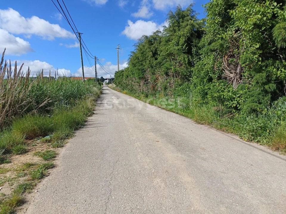 Terreno Agricola ou Rústico para Venda em Moita dos Ferreiros Foto 7