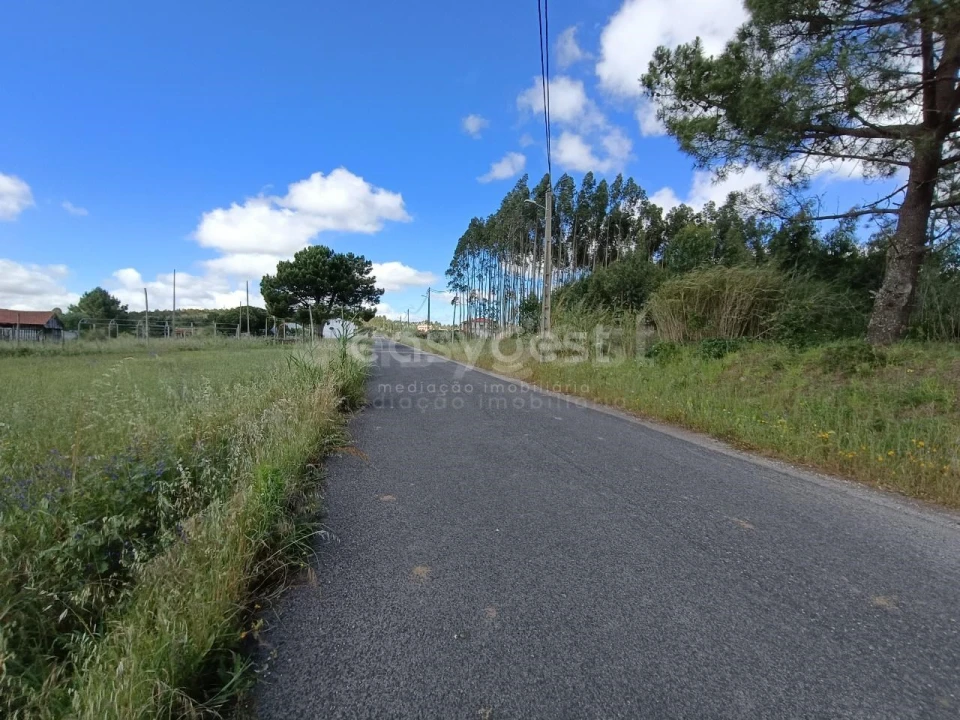 Terreno Agricola ou Rústico para Venda em Moita dos Ferreiros Foto 9