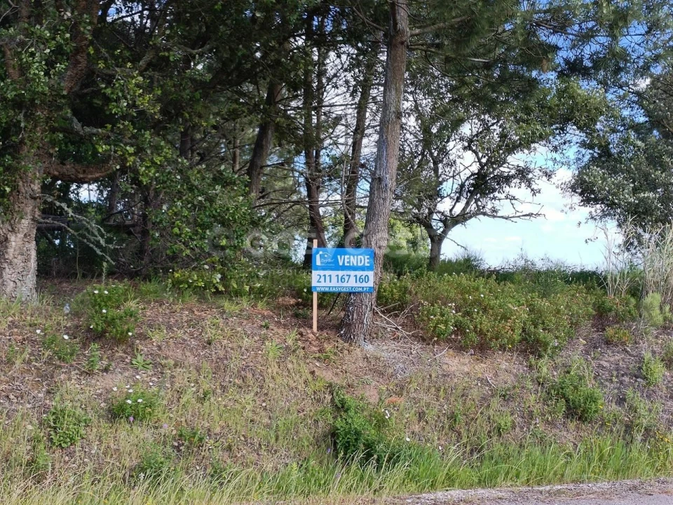 Terreno Agricola ou Rústico para Venda em Moita dos Ferreiros Foto 10