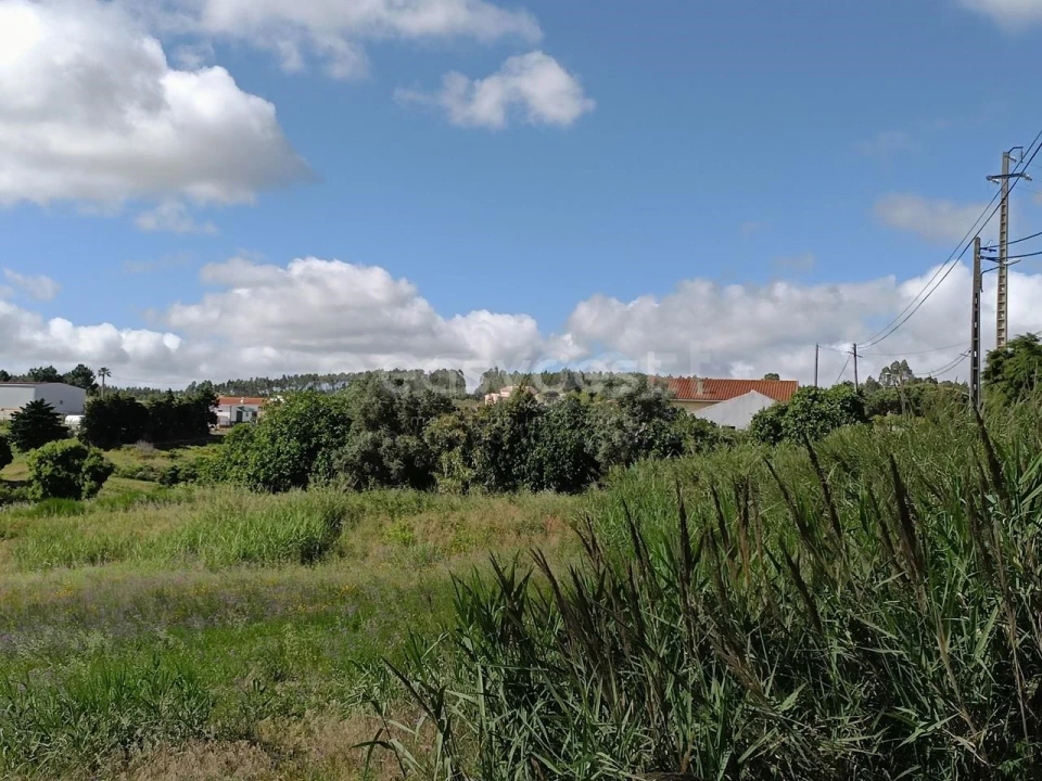 Terreno Agricola ou Rústico para Venda em Moita dos Ferreiros Foto 11