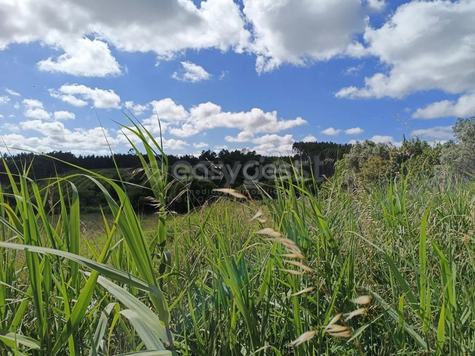 Terreno Agricola ou Rústico para Venda em Moita dos Ferreiros Foto 13