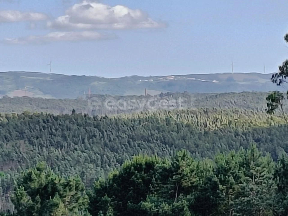 Terreno Agricola ou Rústico para Venda em Moita dos Ferreiros Foto 14