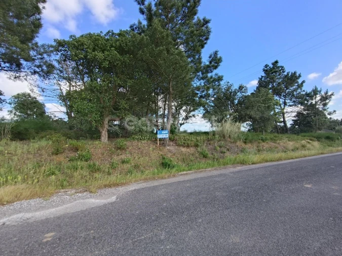 Terreno Agricola ou Rústico para Venda em Moita dos Ferreiros Foto 1