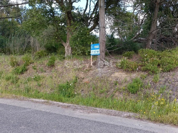 Terreno Agricola ou Rústico para Venda em Moita dos Ferreiros Foto 4