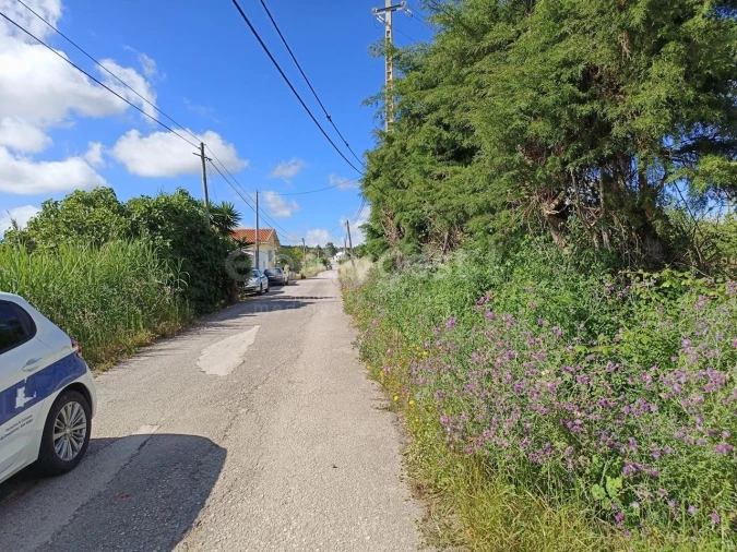 Terreno Agricola ou Rústico para Venda em Moita dos Ferreiros Foto 5
