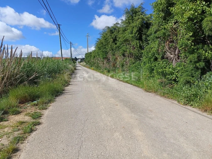 Terreno Agricola ou Rústico para Venda em Moita dos Ferreiros Foto 7