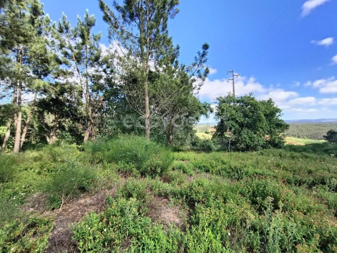 Terreno Agricola ou Rústico para Venda em Moita dos Ferreiros Foto 8