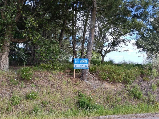 Terreno Agricola ou Rústico para Venda em Moita dos Ferreiros Foto 10