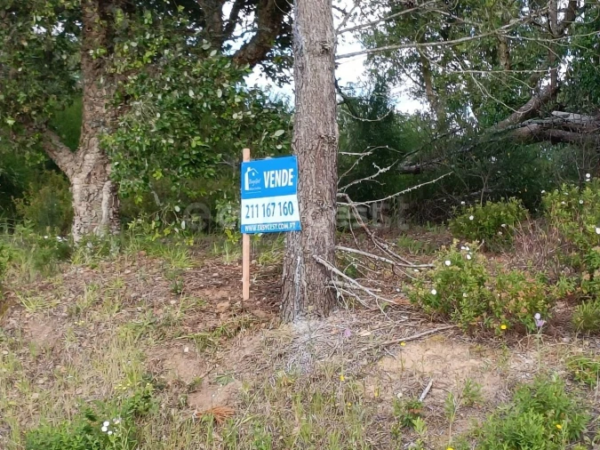 Terreno Agricola ou Rústico para Venda em Moita dos Ferreiros Foto 12