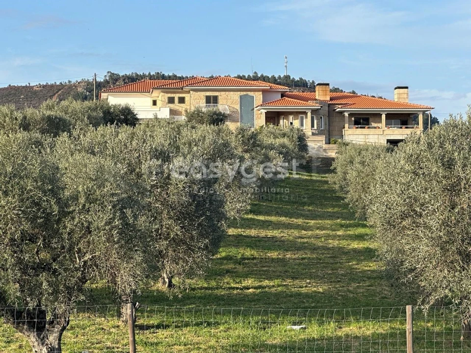 Quinta T5 para Venda em Vila Flor e Nabo Foto 1