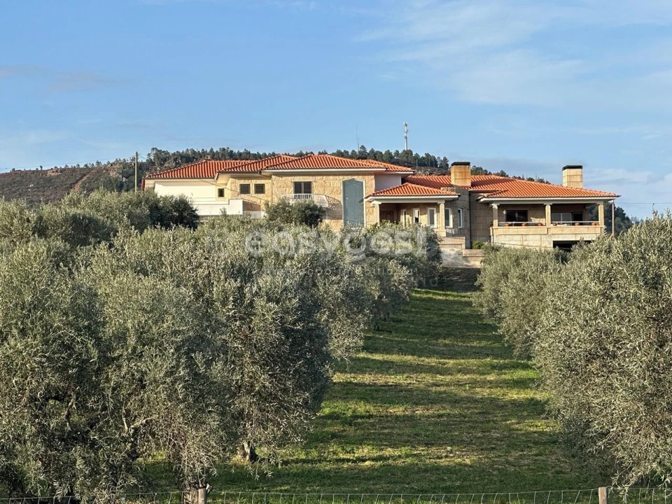 Quinta T5 para Venda em Vila Flor e Nabo Foto 21