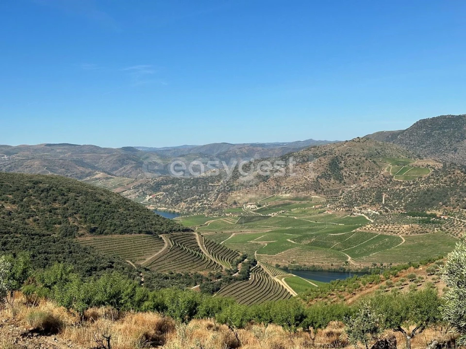 Terreno Agricola ou Rústico para Venda em Torre de Moncorvo Foto 2