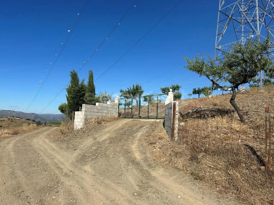 Terreno Agricola ou Rústico para Venda em Torre de Moncorvo Foto 3