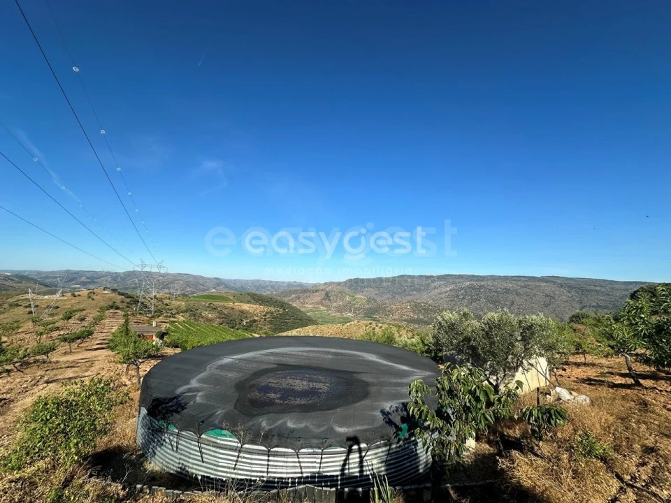 Terreno Agricola ou Rústico para Venda em Torre de Moncorvo Foto 13