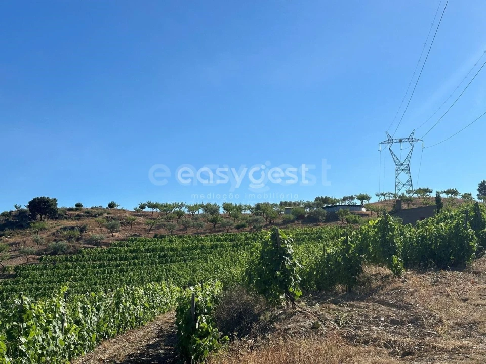Terreno Agricola ou Rústico para Venda em Torre de Moncorvo Foto 20