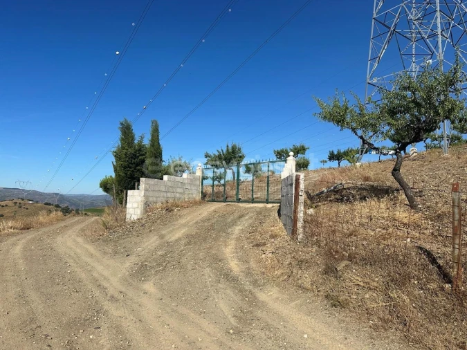 Terreno Agricola ou Rústico para Venda em Torre de Moncorvo Foto 3