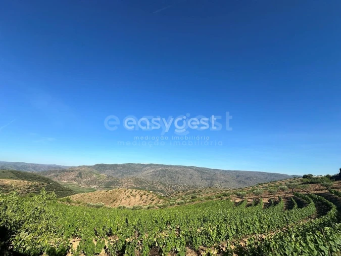 Terreno Agricola ou Rústico para Venda em Torre de Moncorvo Foto 5