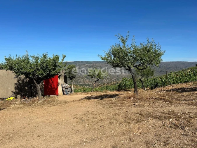 Terreno Agricola ou Rústico para Venda em Torre de Moncorvo Foto 7