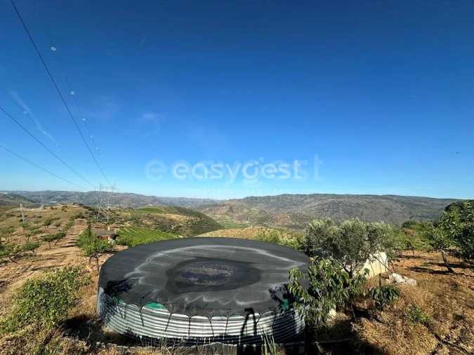 Terreno Agricola ou Rústico para Venda em Torre de Moncorvo Foto 13