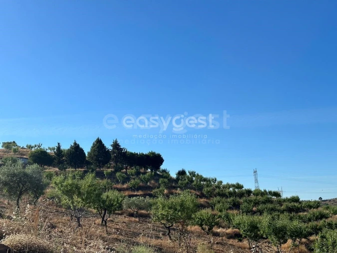 Terreno Agricola ou Rústico para Venda em Torre de Moncorvo Foto 17