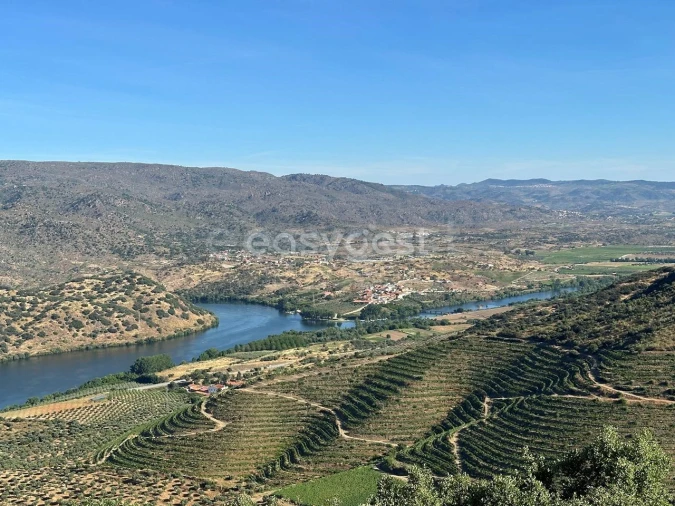 Terreno Agricola ou Rústico para Venda em Torre de Moncorvo Foto 22