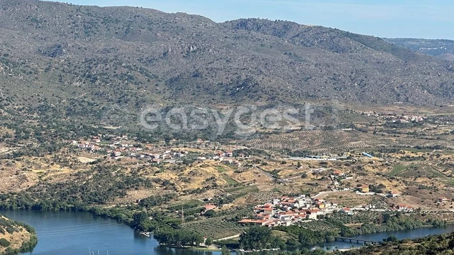 Terreno Agricola ou Rústico para Venda em Torre de Moncorvo
