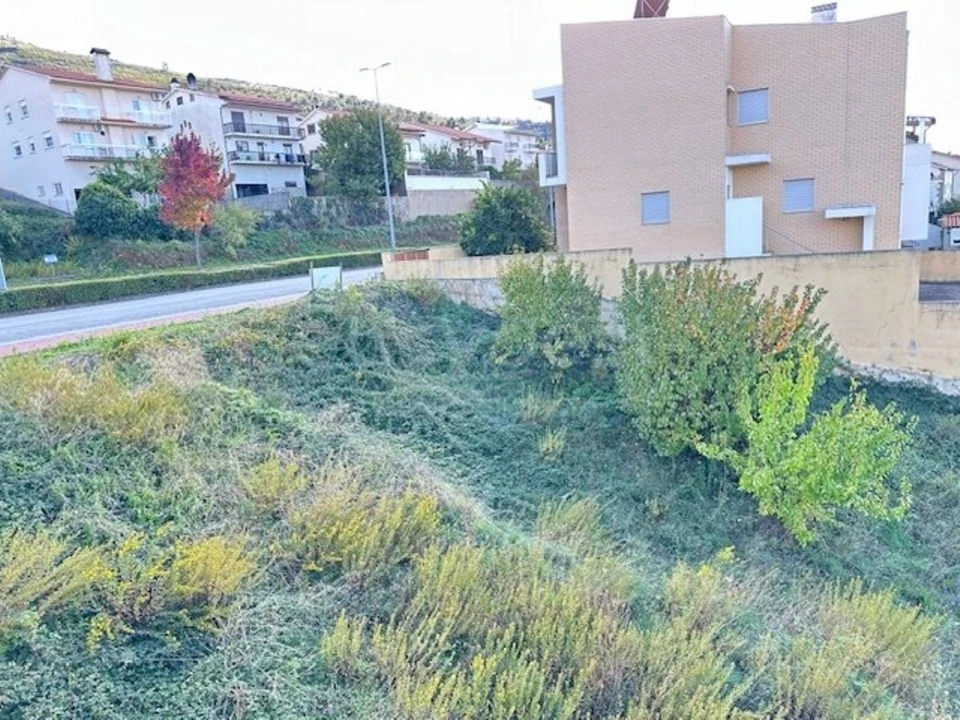 Terreno para Venda em Torre de Moncorvo Foto 7
