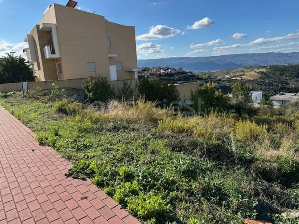 Terreno para Venda em Torre de Moncorvo Foto 10