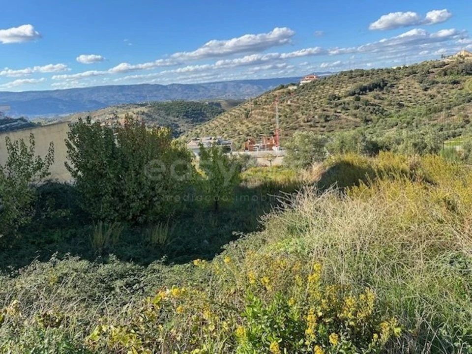 Terreno para Venda em Torre de Moncorvo Foto 14