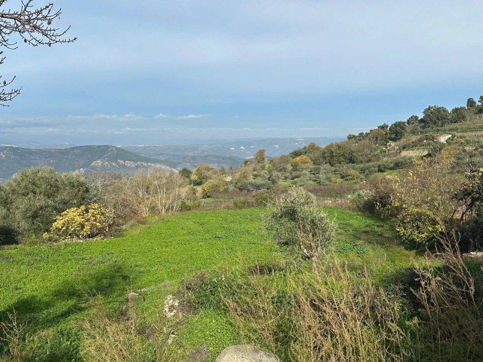 Moradia T3 para Venda em Felgar e Souto da Velha Foto 1