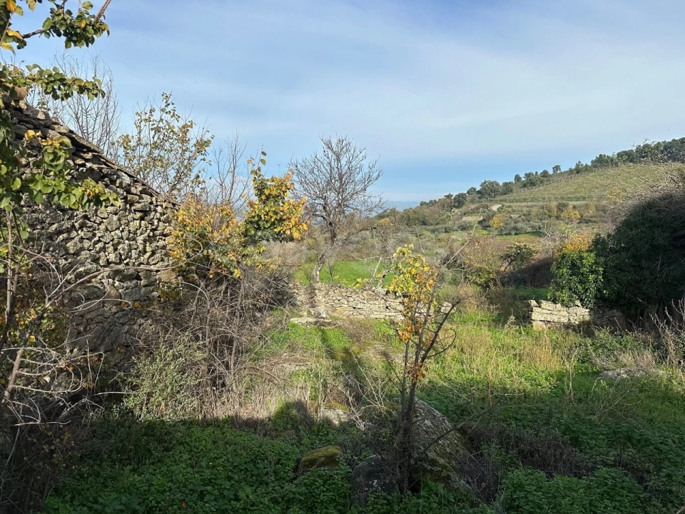 Moradia T3 para Venda em Felgar e Souto da Velha Foto 6