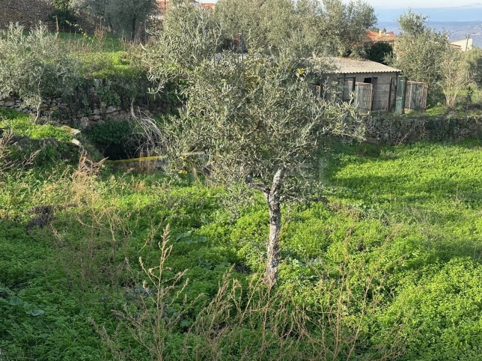 Moradia T3 para Venda em Felgar e Souto da Velha Foto 11