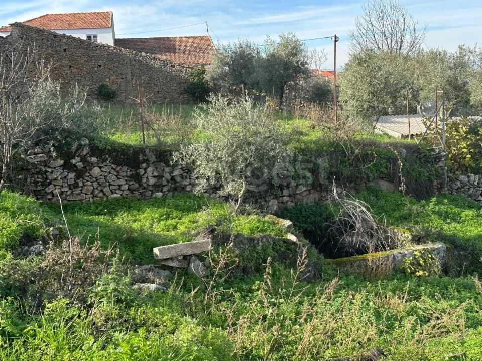 Moradia T3 para Venda em Felgar e Souto da Velha Foto 12