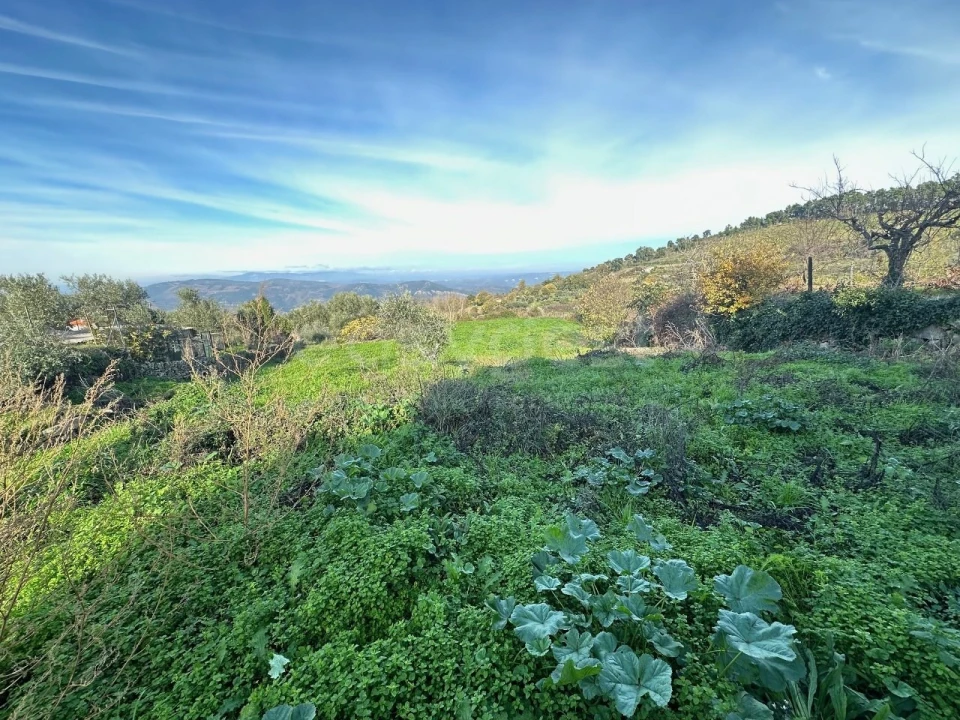 Moradia T3 para Venda em Felgar e Souto da Velha Foto 13