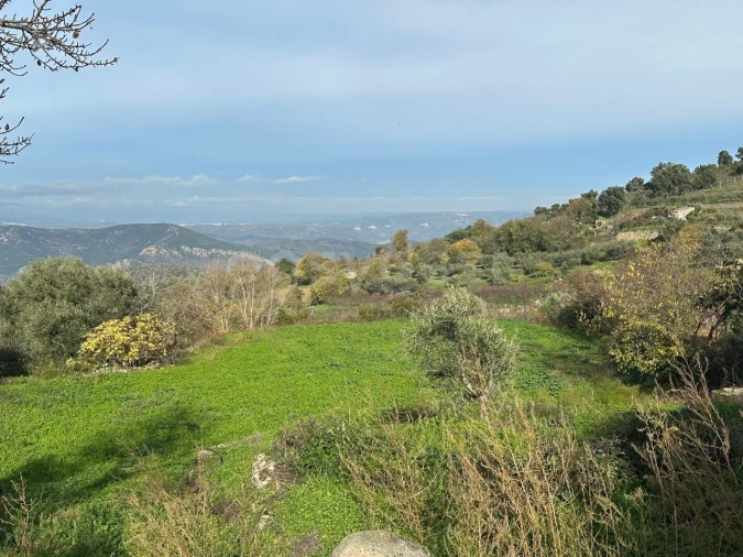 Moradia T3 para Venda em Felgar e Souto da Velha Foto 1