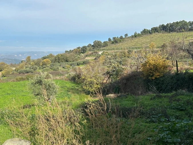 Moradia T3 para Venda em Felgar e Souto da Velha Foto 7